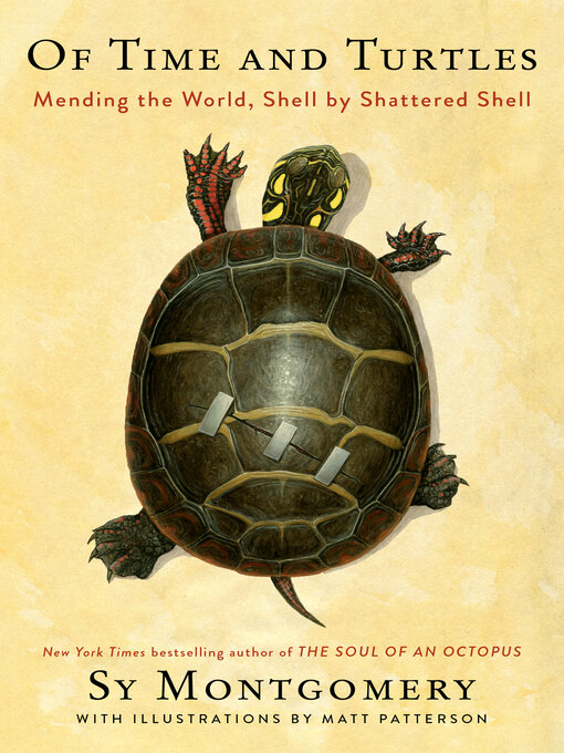 Title details for Of Time and Turtles by Sy Montgomery - Wait list